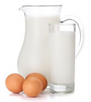 Яйца и молочные продукты содержат достаточное количество витамина A