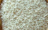 Рис - один из самых полезных источников углеводов для кошек