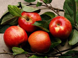 Некоторые фрукты, например, яблоки, необходимо очистить от кожуры перед тем, как дать кролику